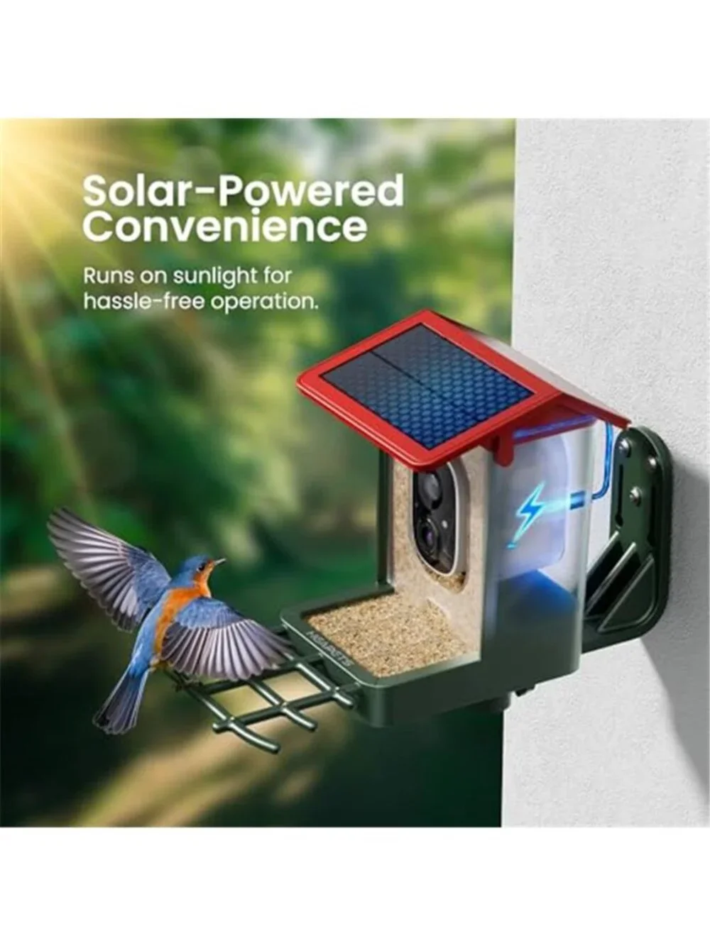 Smart Bird Feeder with Camera Solar Powered, 2K HD Video, AI Bird Species